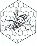 Foto für Bienenzucht Zweigverein